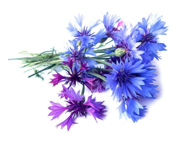 Fotoğraf manipülasyon mavi Peygamber Çiçeği