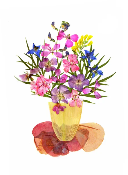 Букет з сухих квітів, зібраних і приклеєних на — стокове фото