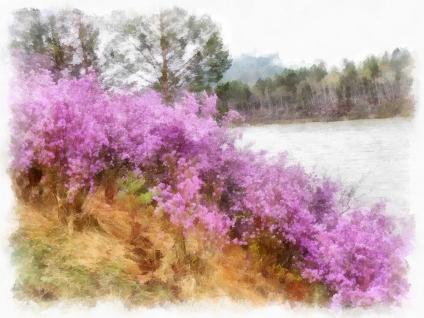 Acquerello L'inizio della primavera, fiorisce montagna Ledum — Foto Stock