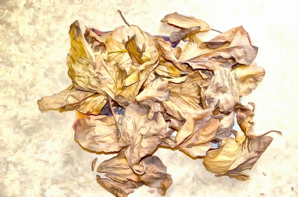 Dessin bouquet aquarelle de feuilles séchées — Photo