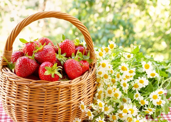 Strawberries in a basket and a bouquet of of chamomiles — Stock Photo, Image