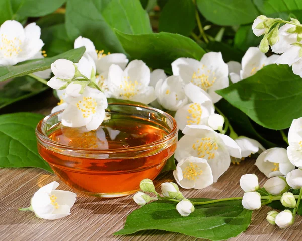 Flower honey and a blooming jasmine — Stock Photo, Image