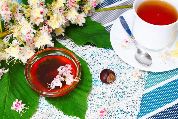 Honey, cup of tea, and fruits of chestnut — Stock Photo, Image