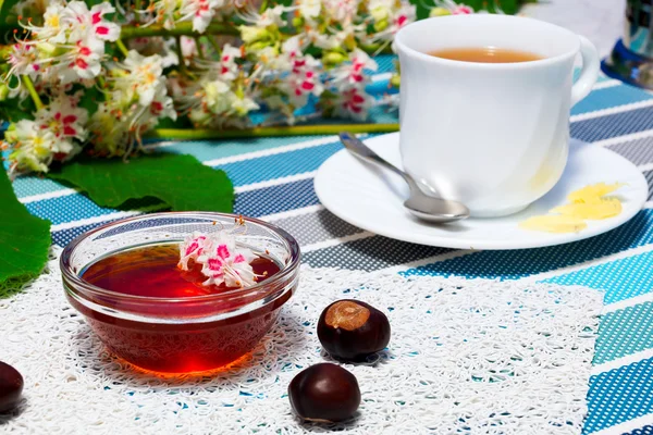 Honey, cup of tea, and fruits of chestnut — Stock Photo, Image