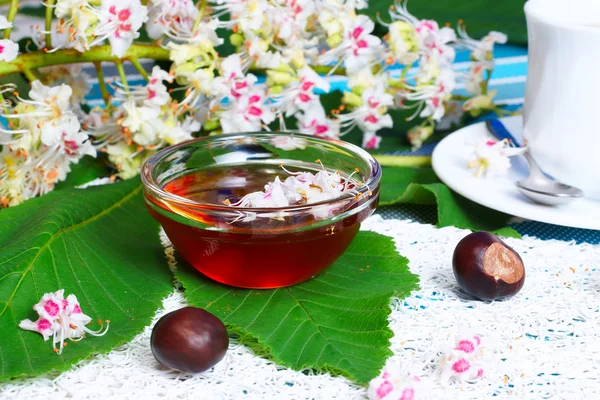 Honey, cup of tea, and fruits of chestnut — Stock Photo, Image