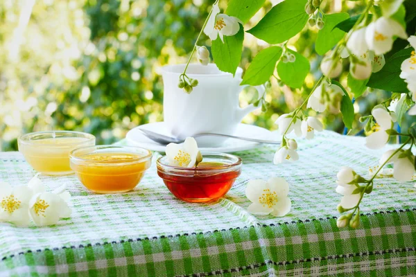 Summer tea with honey under the jasmine bush. — Zdjęcie stockowe