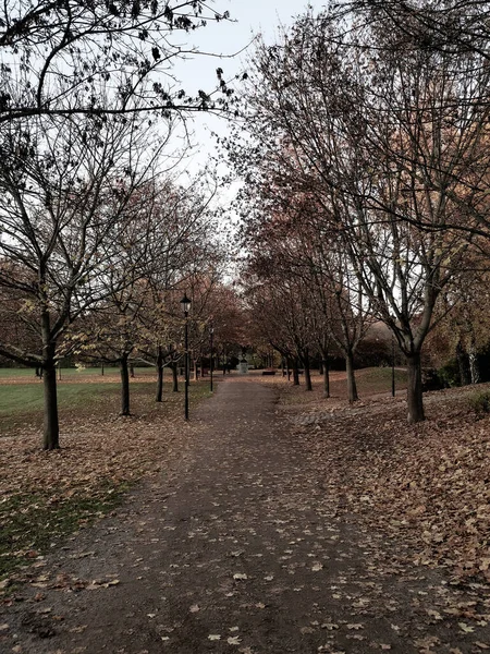 Día Otoño Oslo Park —  Fotos de Stock