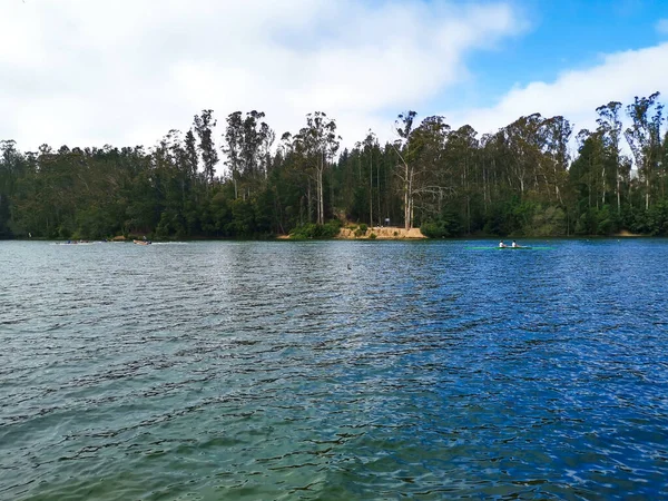 Remo Uma Lagoa Com Árvores Redor — Fotografia de Stock