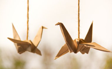 Yüzme Havuzu ile Spa Resort beach RECLINER