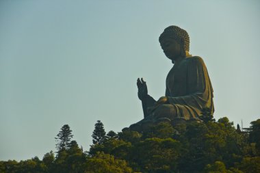Dev Buda, hong kong