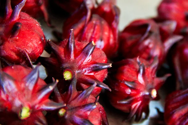 Roselle fruit (kruid) — Stockfoto
