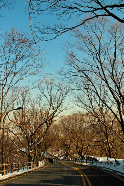 Kar yağışı sonra yolun