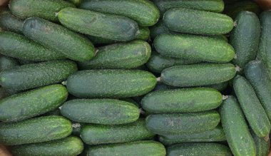 Yeşil salatalık yığını