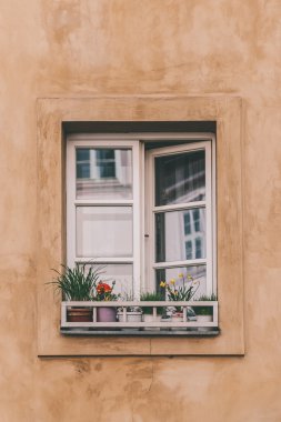 Çiçekli küçük pencere
