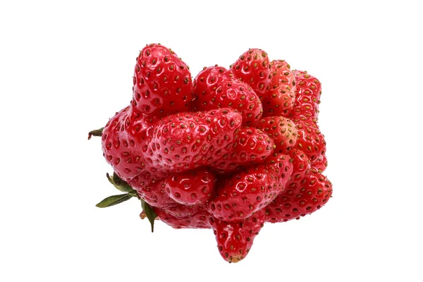 Many small strawberries grown together into one large — Stock Photo, Image