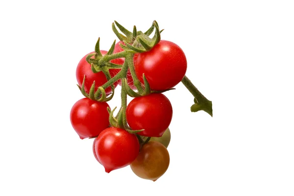 Kilka małych pomidorów, grape jak wątku — Zdjęcie stockowe