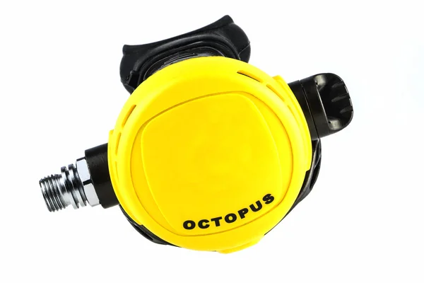 Octopus diver — Stock fotografie