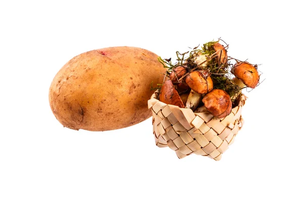 Mantar - çörek küçük bir sepet ve patates.
