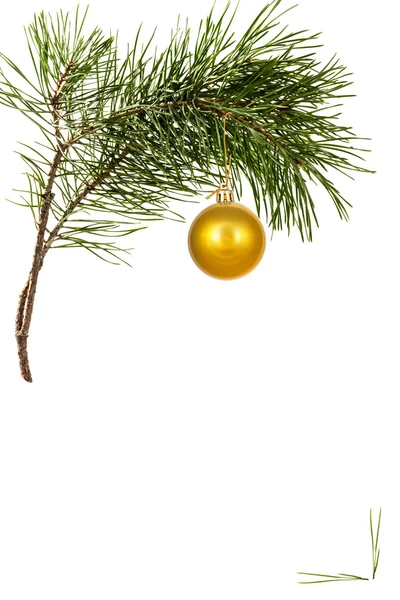 Christmas toy on pine branch — Stock Photo, Image