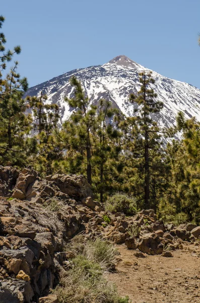 stock image El Teide National Park, Tenerife.