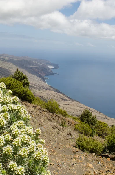 風景の「穏やかなを参照してください、」エル ・ イエロ島. — ストック写真