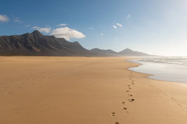 Fußabdrücke Sand Strand Von Cofete Insel Fuerteventura Kanarische Inseln Spanien — Stockfoto