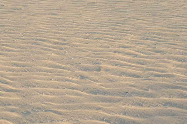 Detalhe da areia — Fotografia de Stock