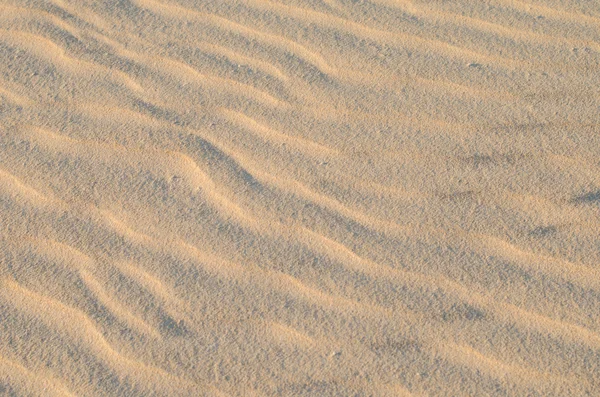 Detalhe da areia — Fotografia de Stock