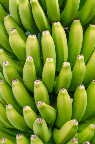 Banano canario . — Foto de Stock