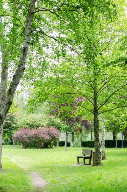 güzel bahar Parkı.