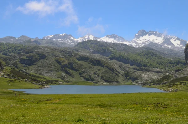 Lakes of Covadonga in Asturias. — Stock Photo, Image