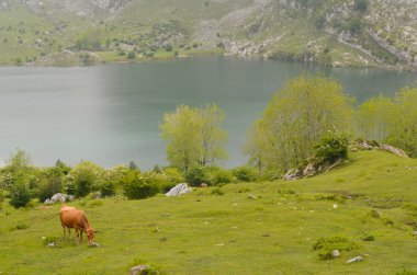Covadonga Asturias yılında göller.