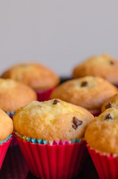 Herstellung von Cupcakes mit Schokoladenchips. — Stockfoto