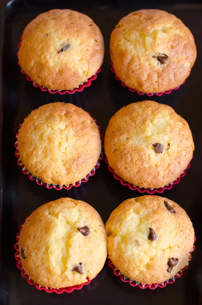 Herstellung von Cupcakes mit Schokoladenchips. — Stockfoto