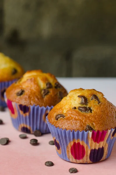 Hausgemachte Chocolate Chip Muffins. — Stockfoto