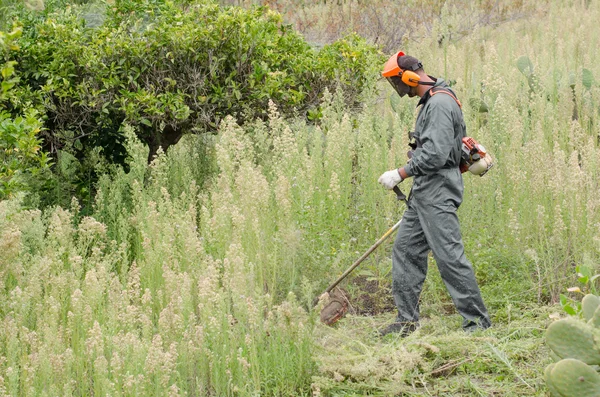 Jovem agricultor cortando ervas daninhas . — Fotografia de Stock