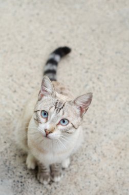 Ayak bebek salıncak üzerinde.