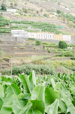 Hermigua Vadisi, La Gomera.