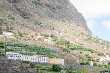 Hermigua Vadisi, La Gomera.