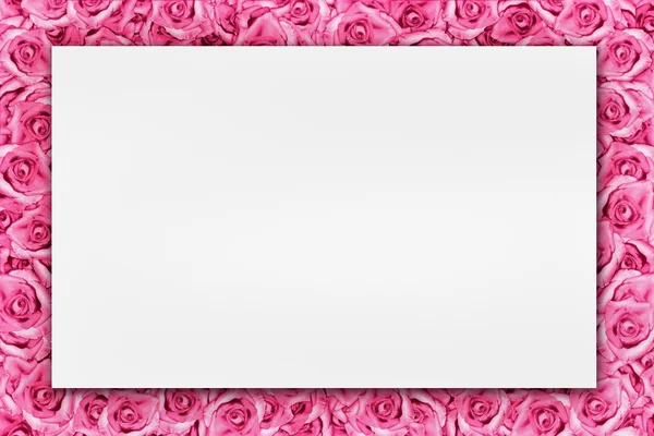 พื้นหลังสีชมพูกับดอกกุหลาบ — ภาพถ่ายสต็อก