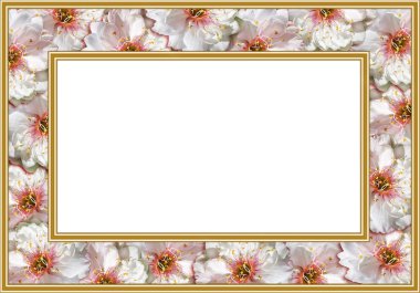 Çiçekli çerçeve