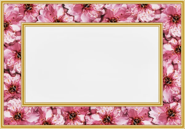 กรอบด้วยดอกไม้สีชมพู — ภาพถ่ายสต็อก
