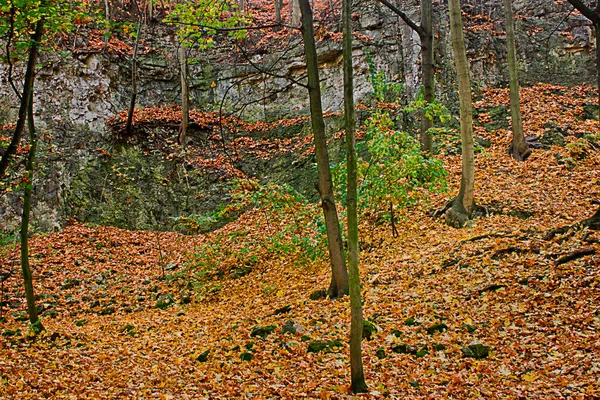 Autumn Park Strewn Yellow Red Leaves Autumn Trees Rock Background — Stock Photo, Image