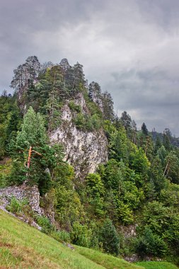 dikey manzara. Bulutlu bir arka planda, ormanla kaplanmış bir uçurum. Polonya Peninleri