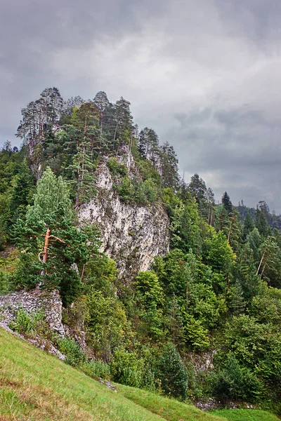 Вертикальний Ландшафт Круча Заросла Лісом Тлі Хмарного Неба Польські Пеніни — стокове фото