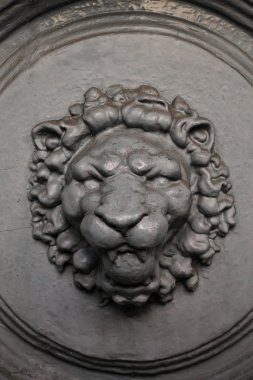 Bir namlu aslan