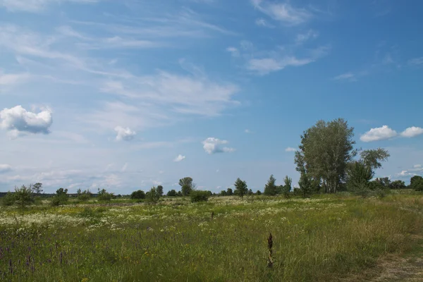 Zomerdag — Stockfoto