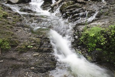 Dağ Akıntısı
