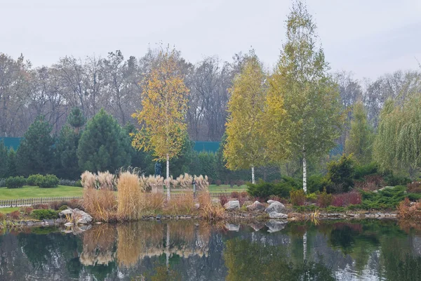 Alberi di autunno — Foto Stock