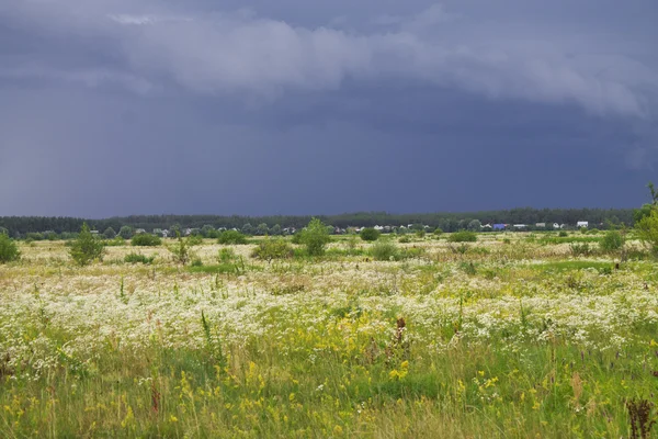 Paysage d'été — Photo